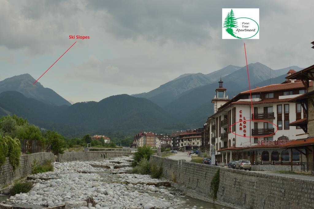 Pine Tree Apartment D34 Bansko Extérieur photo